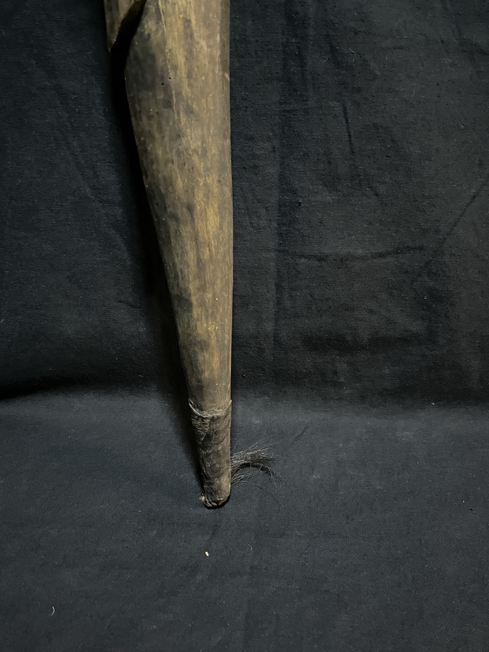 Photo 9 — Canne à tête de cheval « Koré Duga » — Bambara, Mali — Art tribal Africain